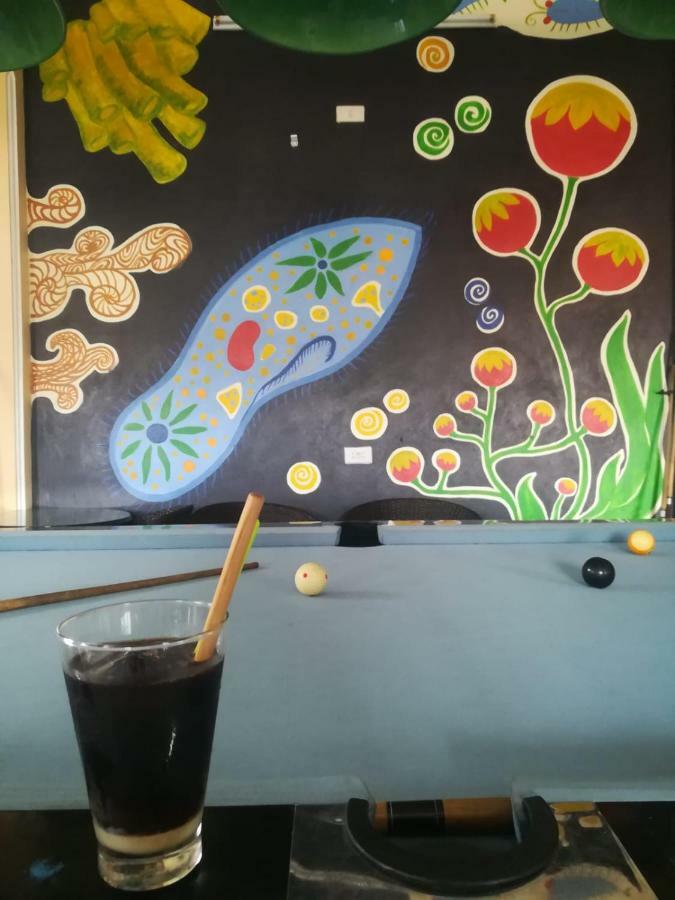Hoa Luan Hostel Ninh Binh Buitenkant foto